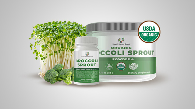 Broccoli Sprout Powder and Capsules