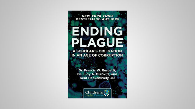 Ending Plague: A Scholar's Obligation in an Age of Corruption