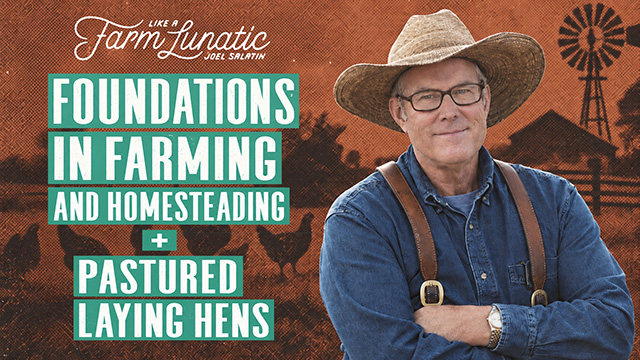 Foundations in Farming and Homesteading + Pastured Laying Hens