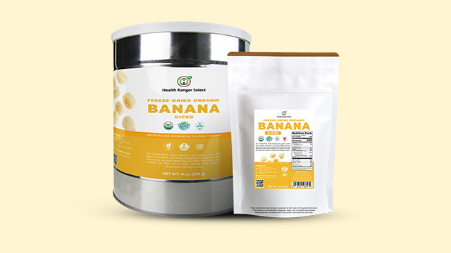 Freeze-Dried Organic Bananas