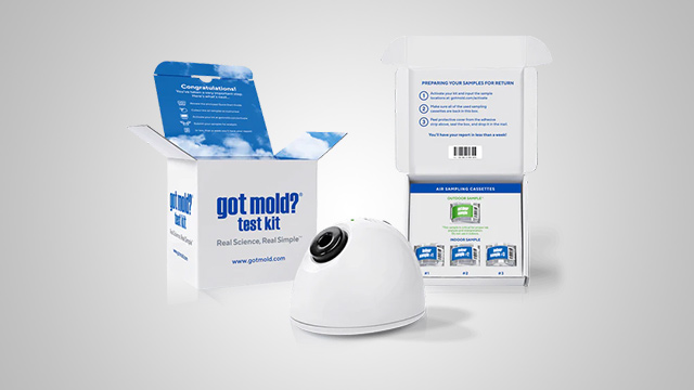 GOT MOLD? Test Kit