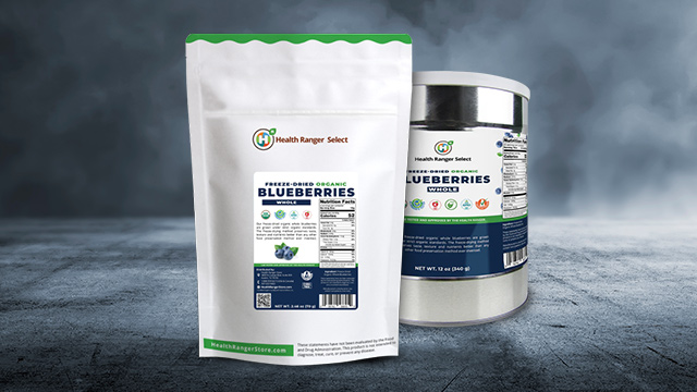 Freeze-Dried Organic Whole Blueberries