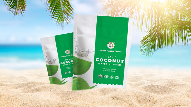 Organic Coconut Water Powder