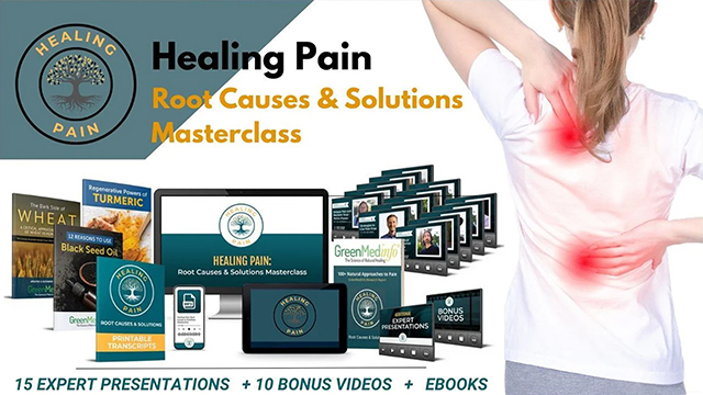 Healing Pain Masterclass