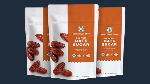 Organic Date Sugar