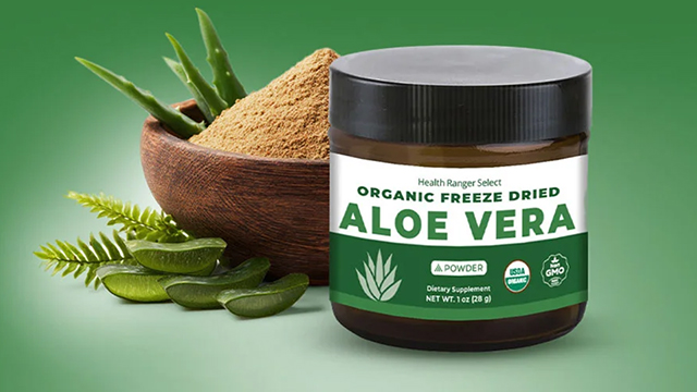 Organic Freeze Dried Aloe Vera Extract Powder