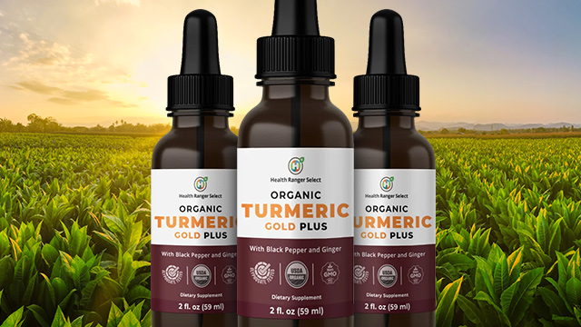 Organic Turmeric Gold Plus with Black Pepper and Ginger