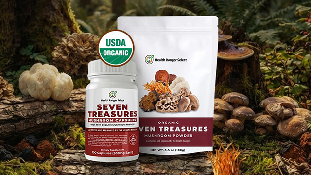 Seven Treasures Mushroom Powder and Capsules