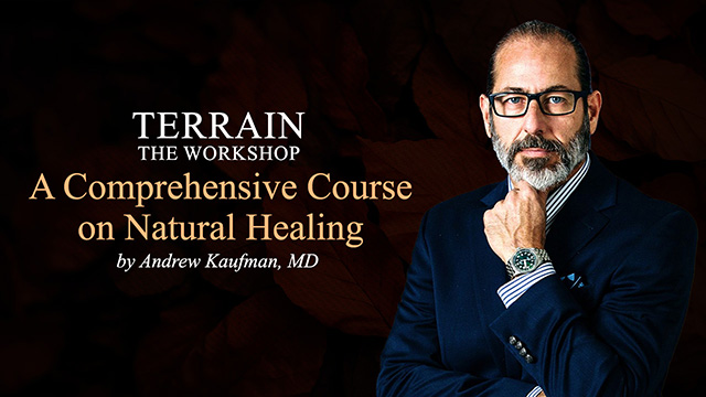 Terrain: The Workshops &ndash; A Comprehensive Course on Natural Healing
